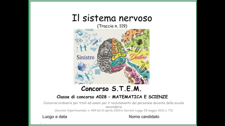 Guida completa alla classe di concorso B023