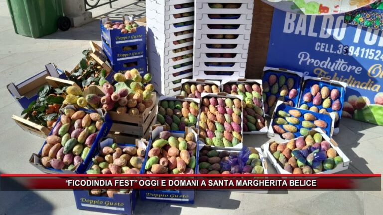 Sconvolgente scoperta nelle ultime notizie: Santa Margherita di Belice sotto i riflettori