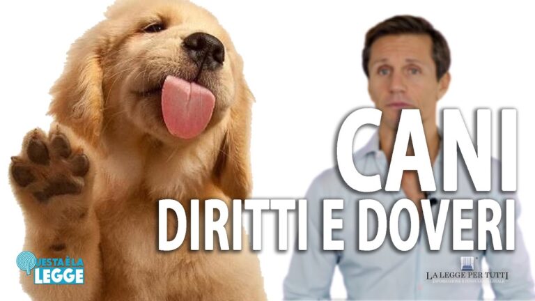 Cani e giardino condominiale: le regole per i bisogni
