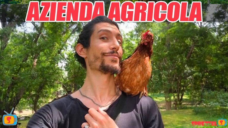Aprire un negozio di animali: scopri le agevolazioni per iniziare la tua attivit&agrave;!
