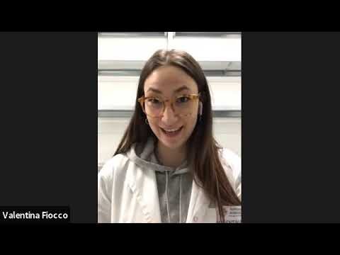 Lo stipendio del magazziniere di farmacia: guida completa