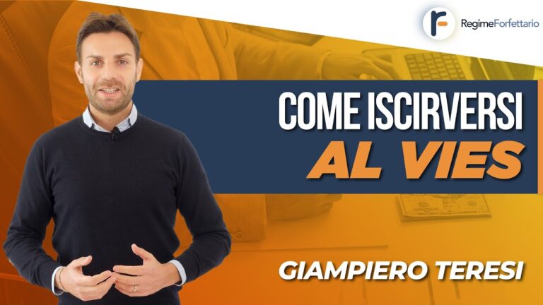 Iscrizione VIES: La Guida Completa all’Iscrizione tramite Intermediario
