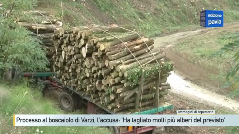 Sanzioni per Movimento Terra Non Autorizzato: Le Conseguenze