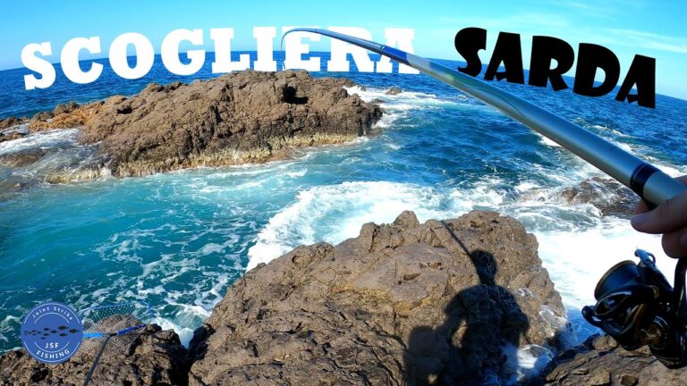 Pesca in Sardegna: Guida Ottimizzata e Concisa