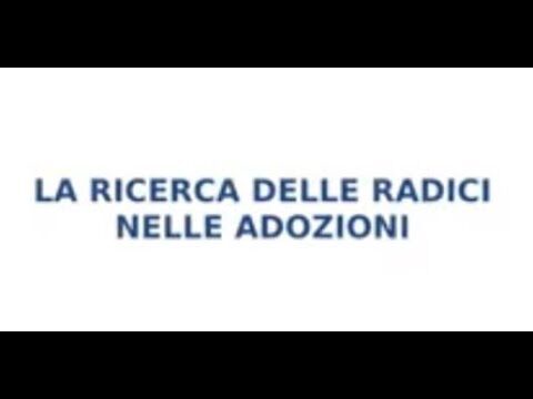 Guida al Registro delle Adozioni: Procedure Ottimizzate e Semplificate