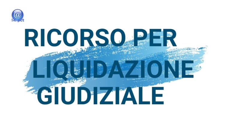 Fac simile ricorso per esdebitazione incapiente consumatore