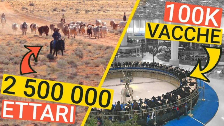 Guida ai Nomi delle Aziende Agricole: Come Scegliere il Migliore