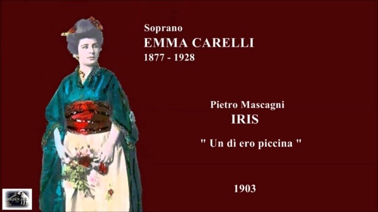 Guida completa all’ERO 806: tutto quello che devi sapere