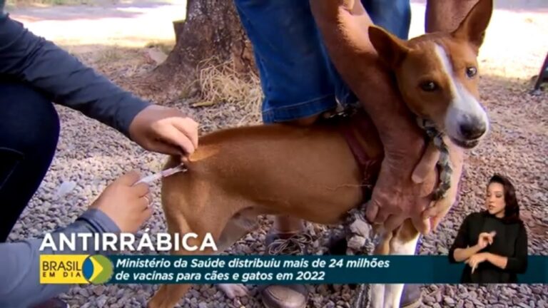 Prezzo della Vaccinazione Anti-Rabbica: Cosa Sapere