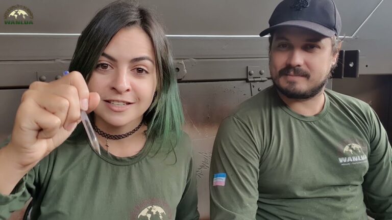 Risparmia denaro con le finestre a doppio vetro