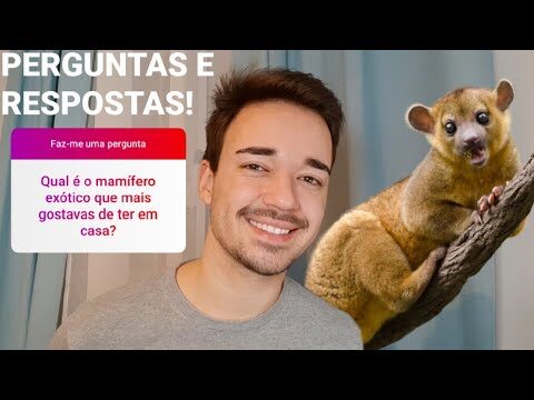 Guida all’Acquisto di Serpenti in Portogallo