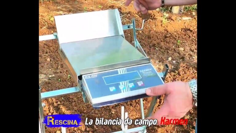 3000 milioni di euro in real brasiliani