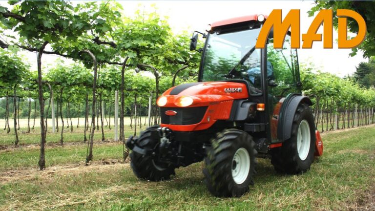 Guida completa all’IMT Leiria: corsi, strutture e opportunit&agrave;
