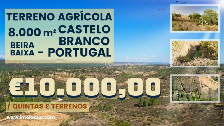 Terreni Agricoli in Vendita: Opportunità da Non Perdere