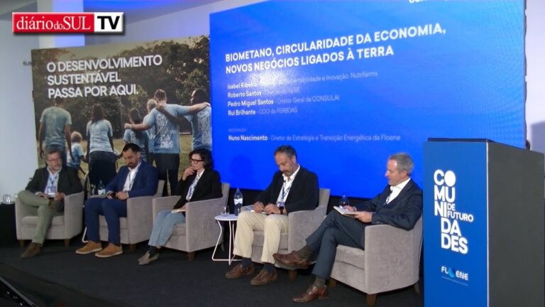 Dianag&aacute;s &Eacute;vora: Innovazione e Sostenibilit&agrave; nel Settore Energetico