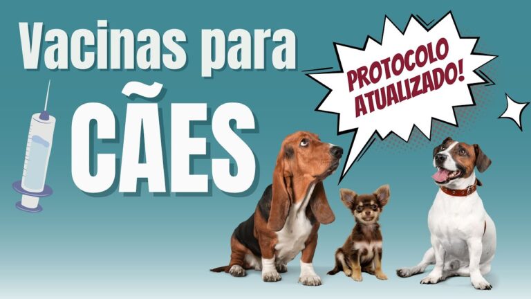 Importanza della Vaccinazione Annuale per i Cani