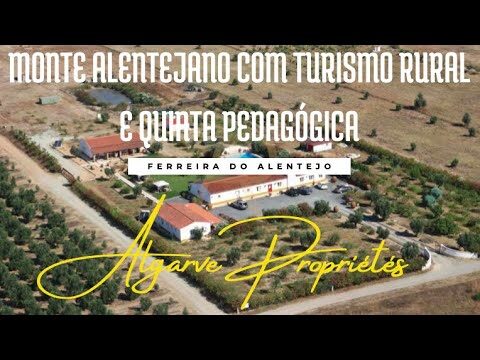 Scoprire le Migliori Taxa Turistica di Albufeira