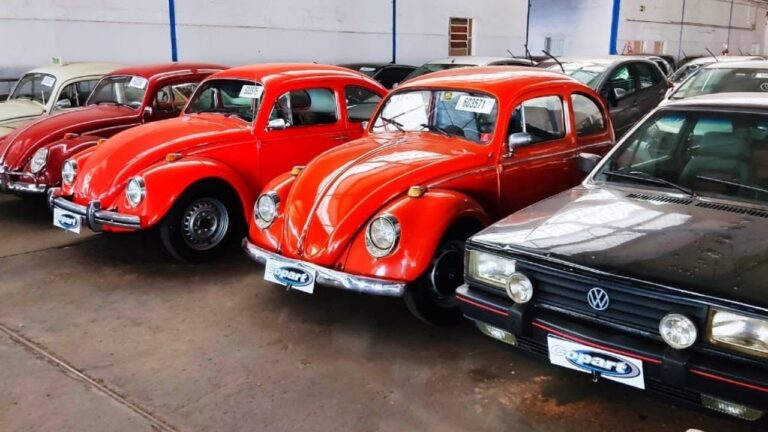 Leil&atilde;o di Auto per Privati: Guida Essenziale