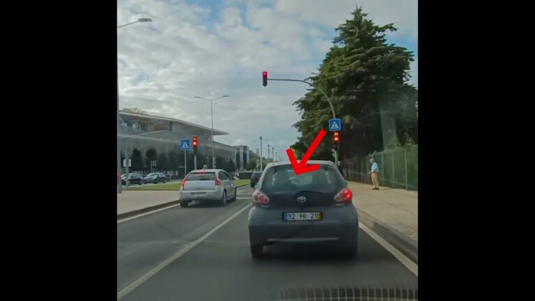 Multa per mancata fermata sulle strisce pedonali