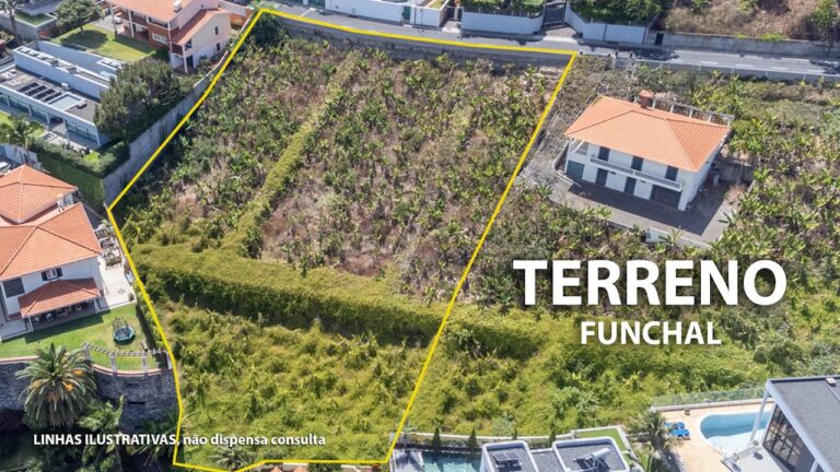 Terreni in Vendita a Madeira